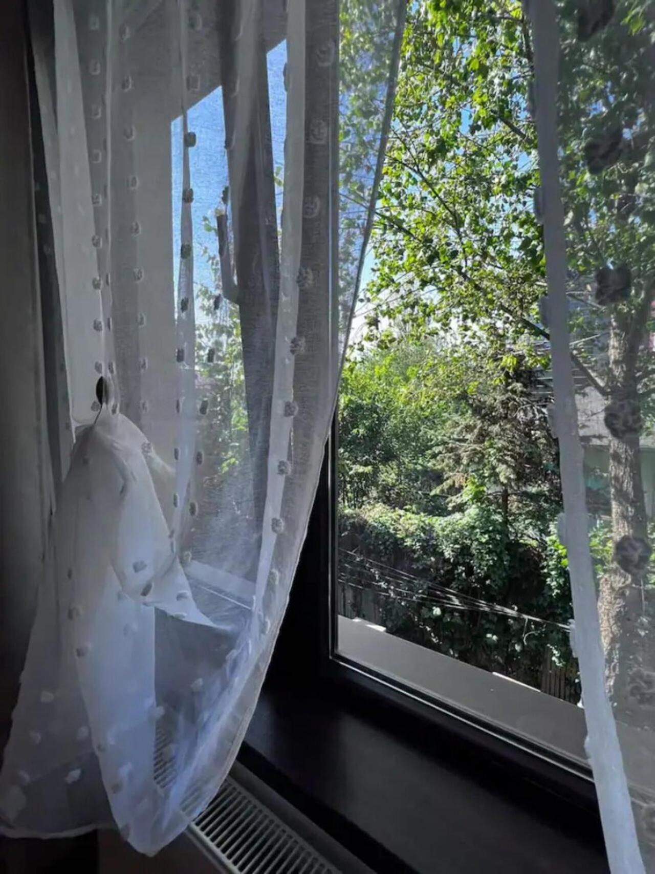 Vila Luminoasa Cu Curte Privata 부쿠레슈티 외부 사진