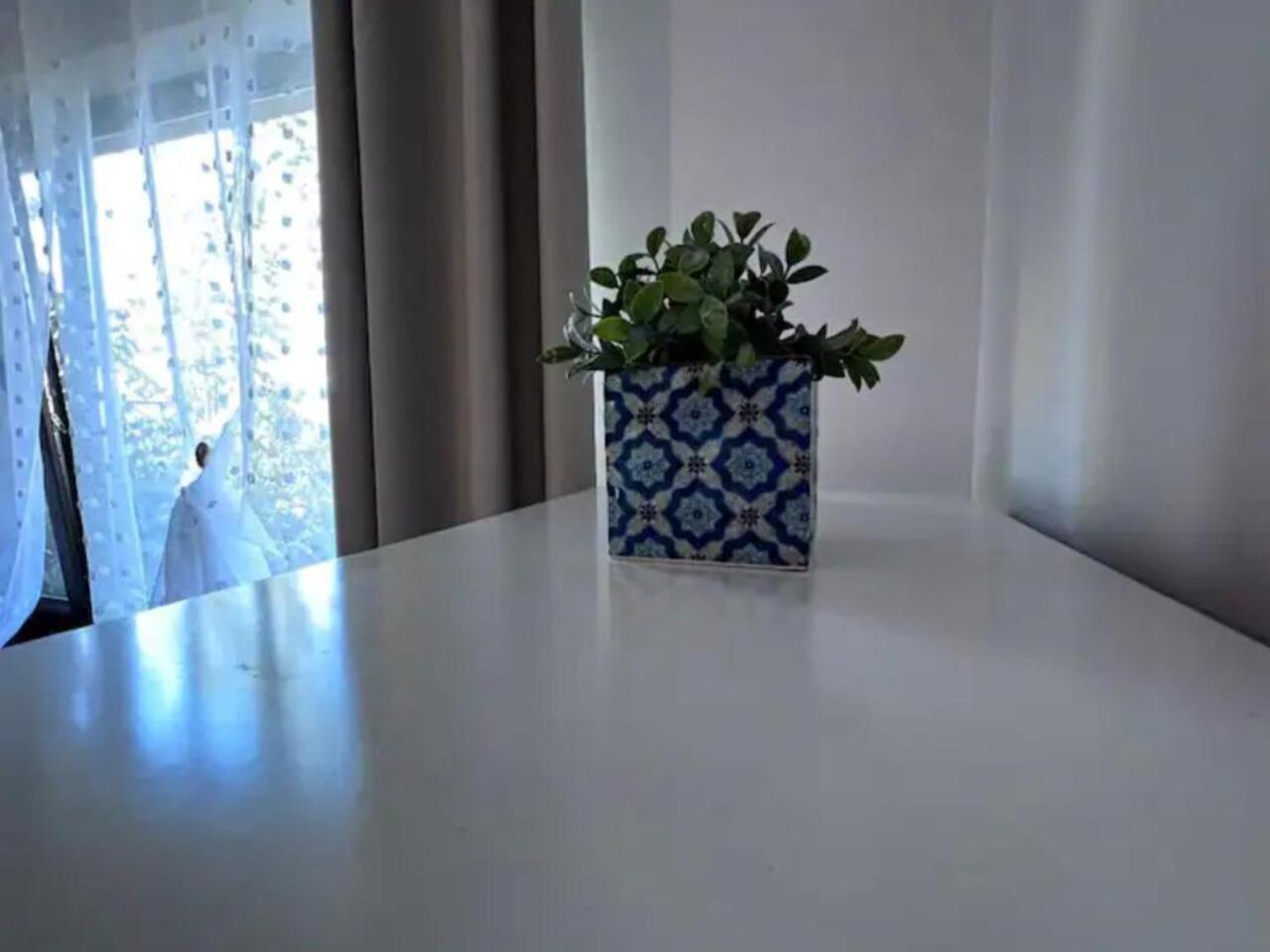 Vila Luminoasa Cu Curte Privata 부쿠레슈티 외부 사진